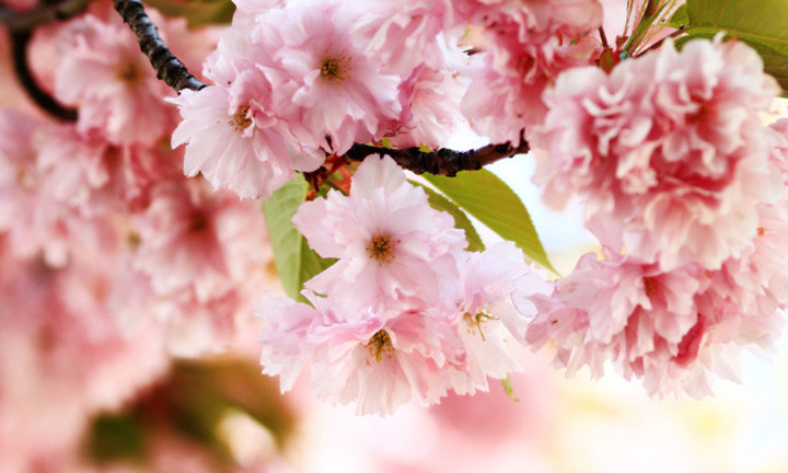 春暖花開時節，2021年博皓&ldquo;鷹之家&rdquo;學習組織班委換屆盛典