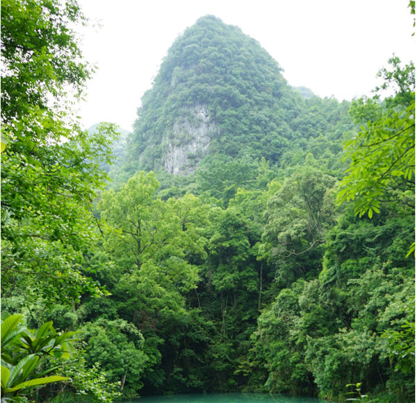 賞華夏大地，游多彩貴州-－2021年廣東博皓快樂行-2