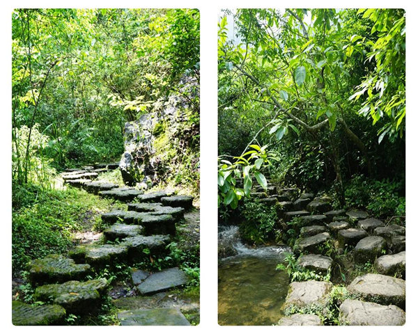 賞華夏大地，游多彩貴州-－2021年廣東博皓快樂行-3