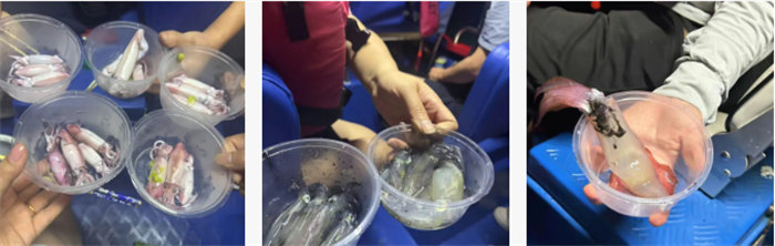 攜手博皓逐夢(mèng)行，巽寮灣上展豪情—廣東博皓2025年巽寮灣之旅    -10