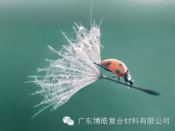 【博皓感悟】成功，要&ldquo;借力&rdquo;，不要&ldquo;盡力&rdquo;